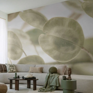 Fototapete Standard Eco - Zarte hellgrüne Blätter auf hellem Hintergrund - 100x70cm - Am Anfang waren Blätter... - Moderne Wanddekoration für Wohnzimmer und Schlafzimmer ARTTOR