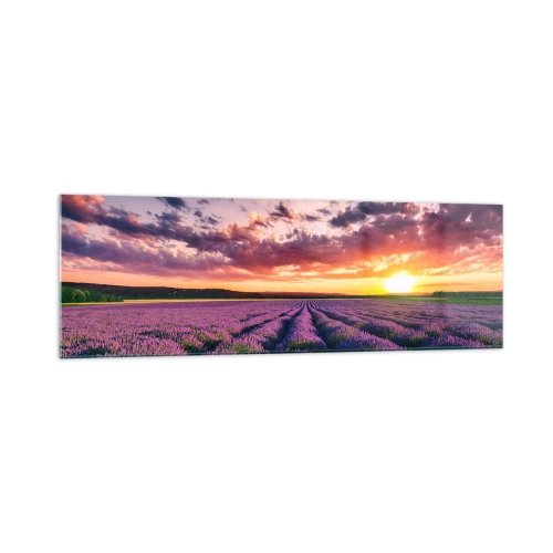 Glasbild - Bild auf glas - Ein Lavendelfeld bei Sonnenuntergang mit einem farbenfrohen Himmel - 160x50cm - Lavendel Welt - Moderne Wanddekoration für Wohnzimmer und Schlafzimmer ARTTOR