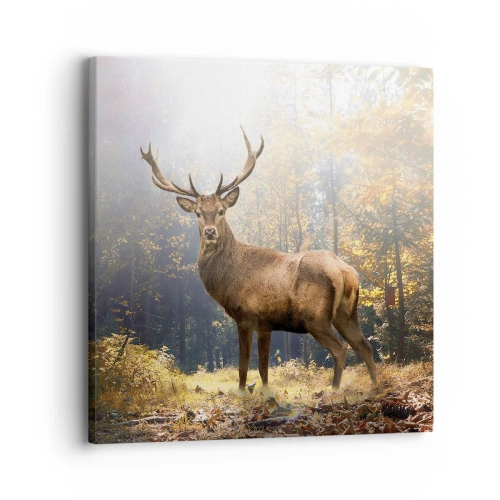 Bild auf Leinwand - Leinwandbild - In voller Majestät - 30x30 cm