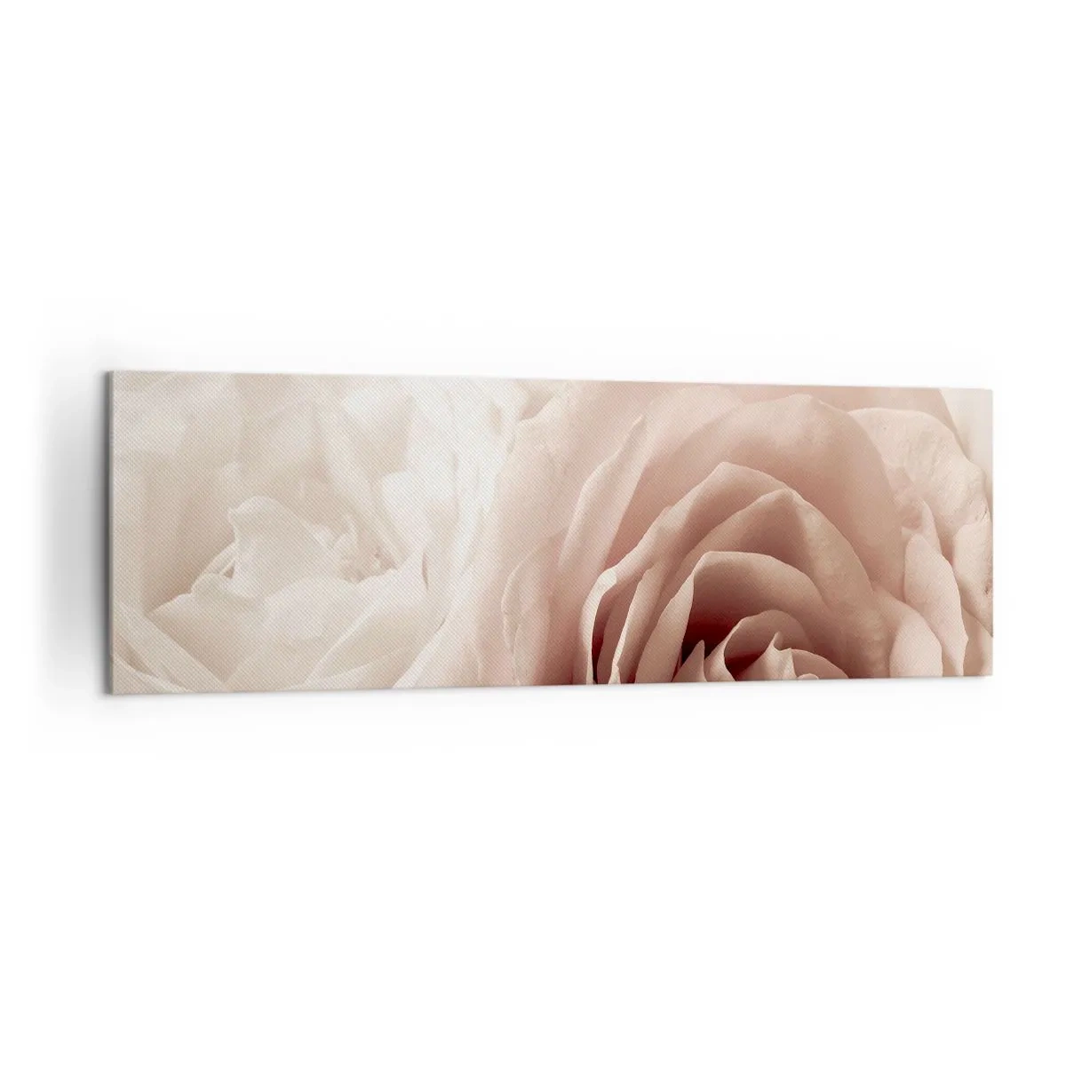 Bild auf Leinwand - Leinwandbild - Zarte Rosen in pastelligen Beigetönen - 160x50cm - Im Herzen der Rose - Moderne Wanddekoration für Wohnzimmer und Schlafzimmer ARTTOR