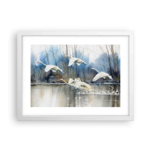 Poster in einem weißen Rahmen - Wie im Märchen von den wilden Schwänen - 40x30 cm
