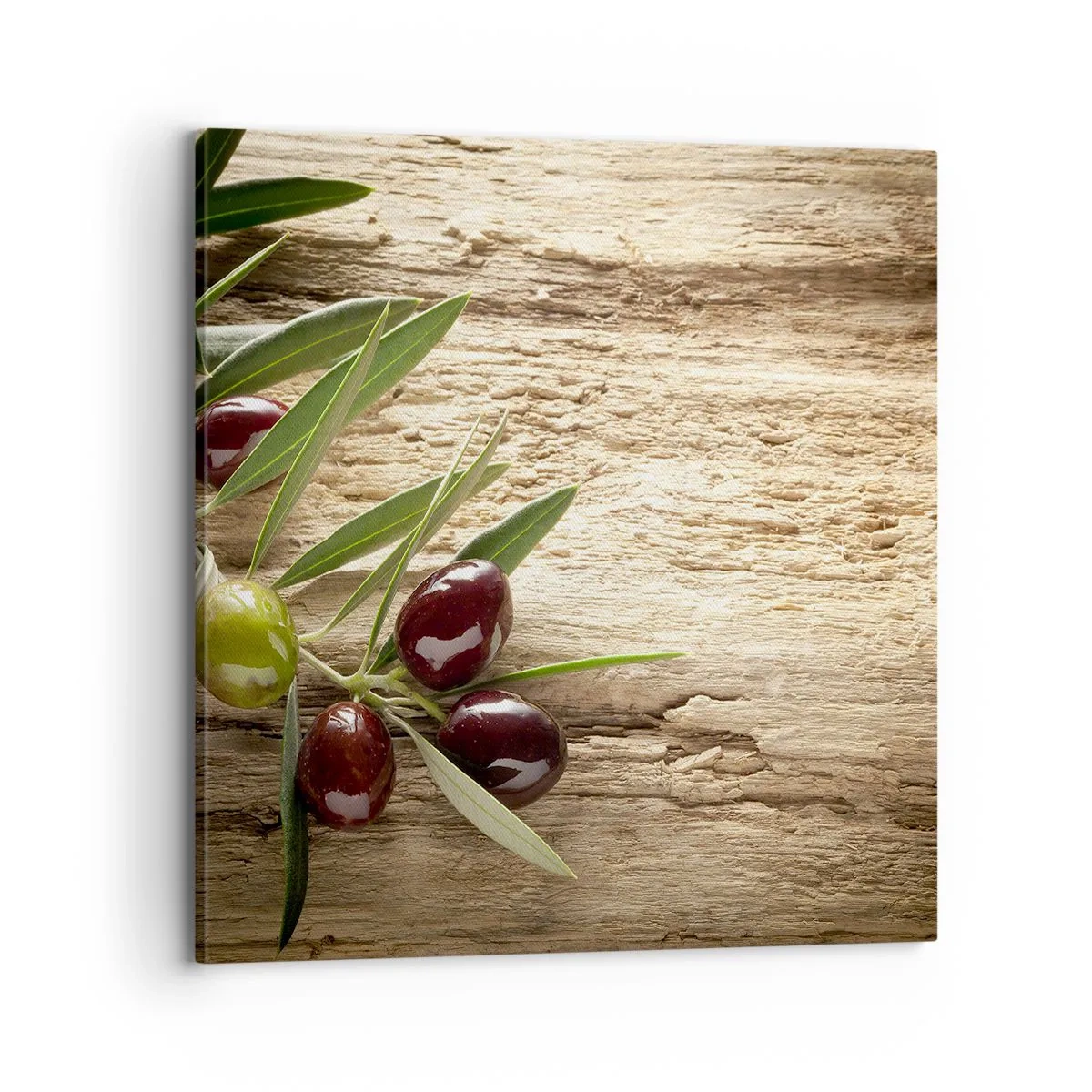 Bild auf Leinwand - Leinwandbild - Direkt aus der Natur - 70x70 cm