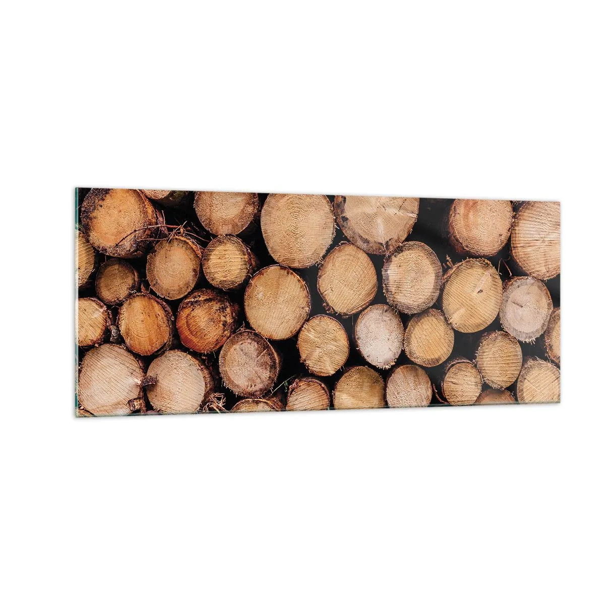 Glasbild - Bild auf glas - Ein neuer Anfang - 100x40 cm