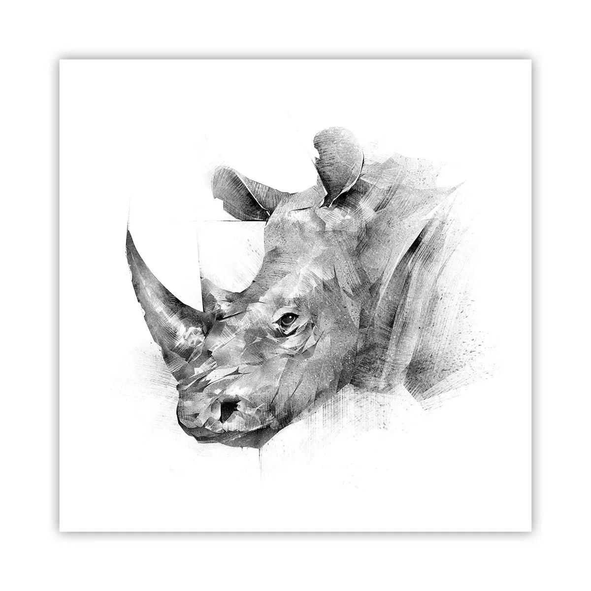 Poster - Afrikanisches Porträt - 60x60 cm