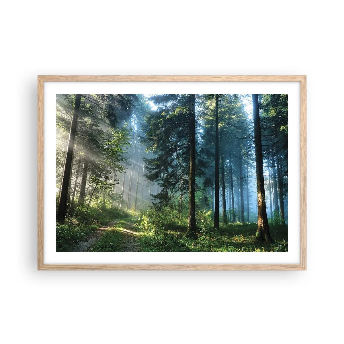Poster in einem Rahmen aus heller Eiche - Strahlend am Morgen - 70x50 cm
