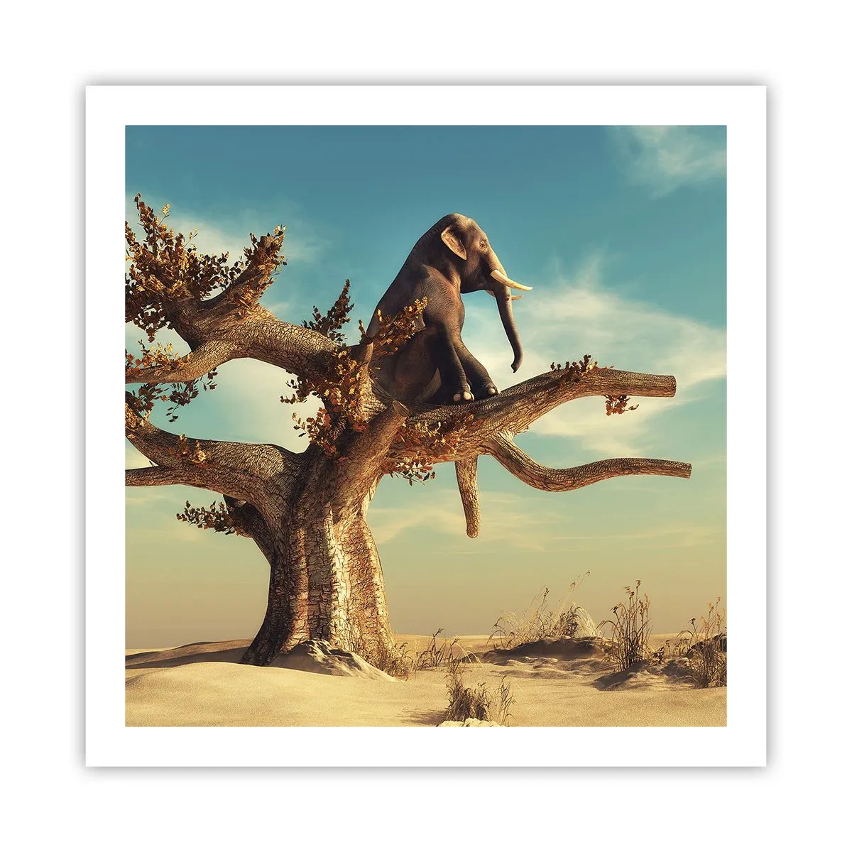 Poster - Ein neuer Standpunkt - 60x60 cm