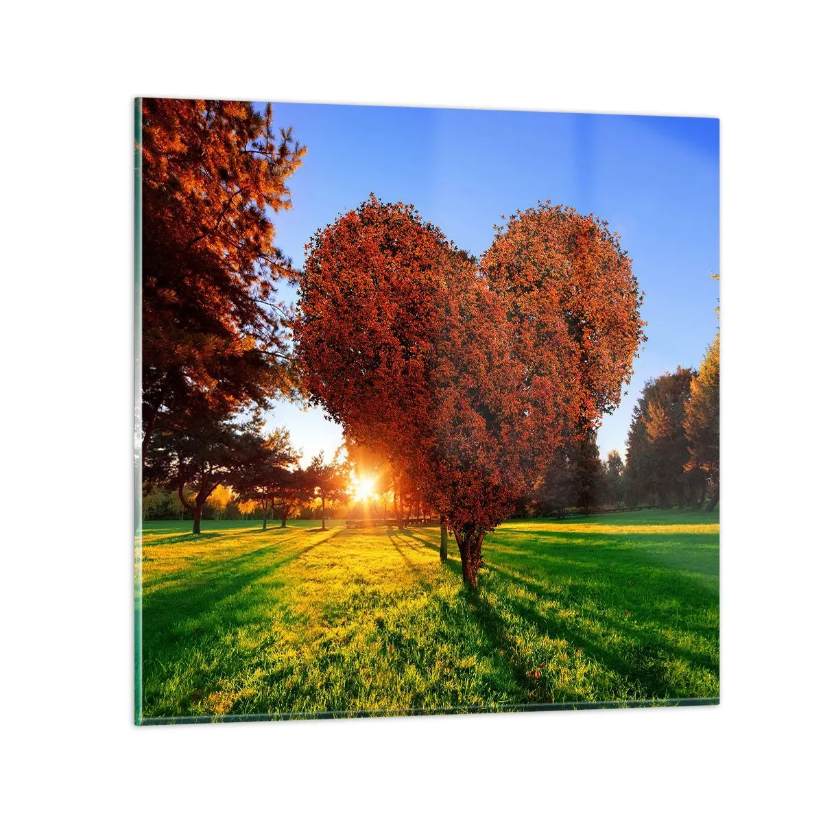 Glasbild - Bild auf glas - Und wie man den Herbst nicht liebt - 40x40 cm