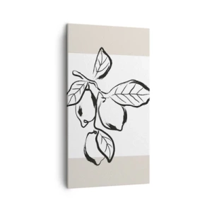 Bild auf Leinwand - Leinwandbild - Dort, wo Zitronen reifen… - 45x80 cm