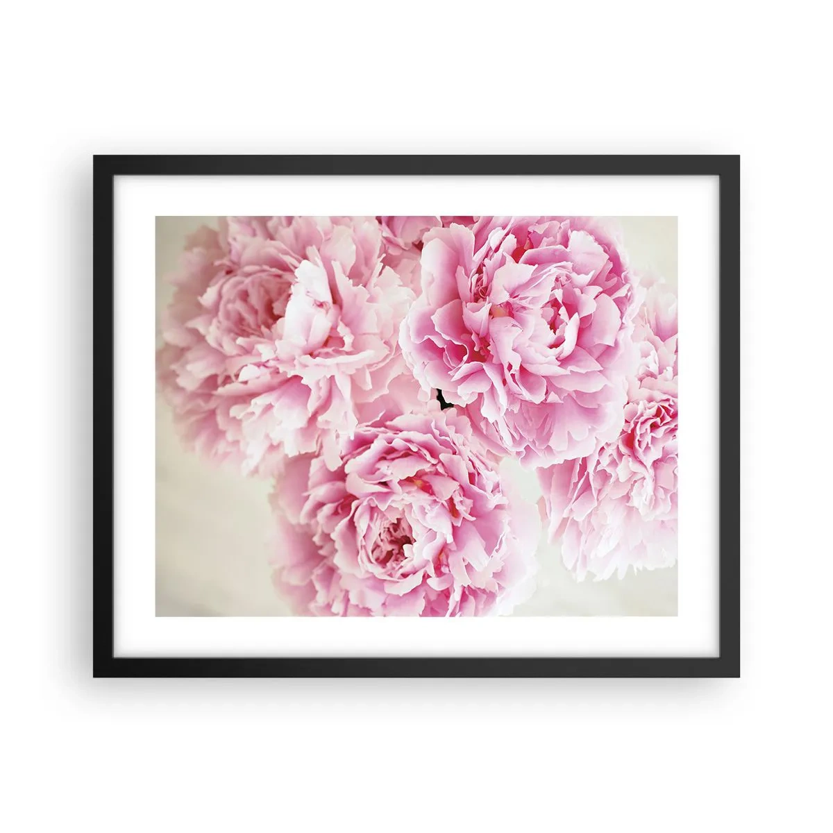 Poster in einem schwarzem Rahmen - In rosa Glamour - 50x40 cm