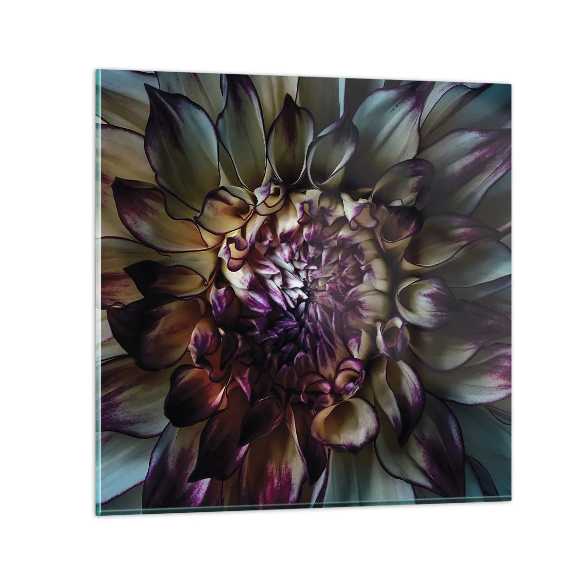 Glasbild - Bild auf glas - Die Blütezeit der Jugend - 30x30 cm