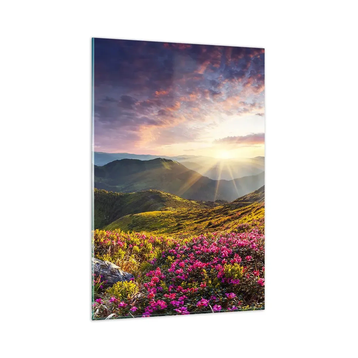 Glasbild - Bild auf glas - Berglandschaft mit blühenden Rhododendren - 80x120cm - Frische am Bergmorgen - Moderne Wanddekoration für Wohnzimmer und Schlafzimmer ARTTOR