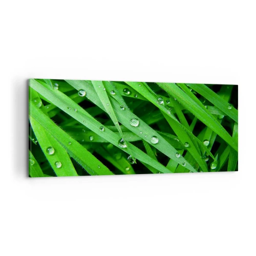 Bild auf Leinwand - Leinwandbild - Grün spielen - 100x40 cm