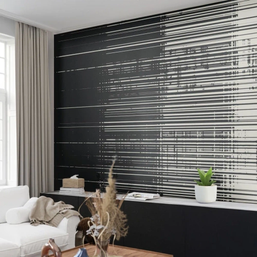 Fototapete Premium Sand - Wellen und Vibrationen - Schwarz und weiß, Barcodes, Linien - 500x350 cm