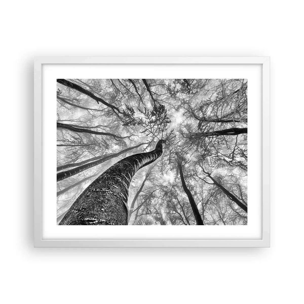 Poster in einem weißen Rahmen - Rennen zum Licht - 50x40 cm