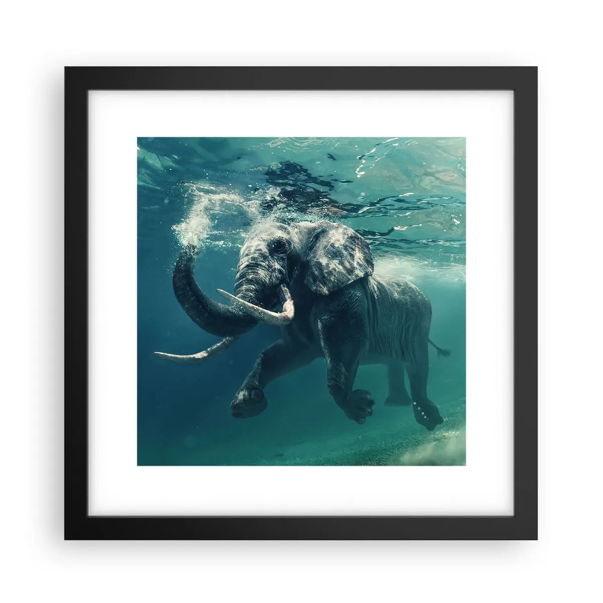 Poster in einem schwarzem Rahmen - Jeder schwimmt gerne - 30x30 cm