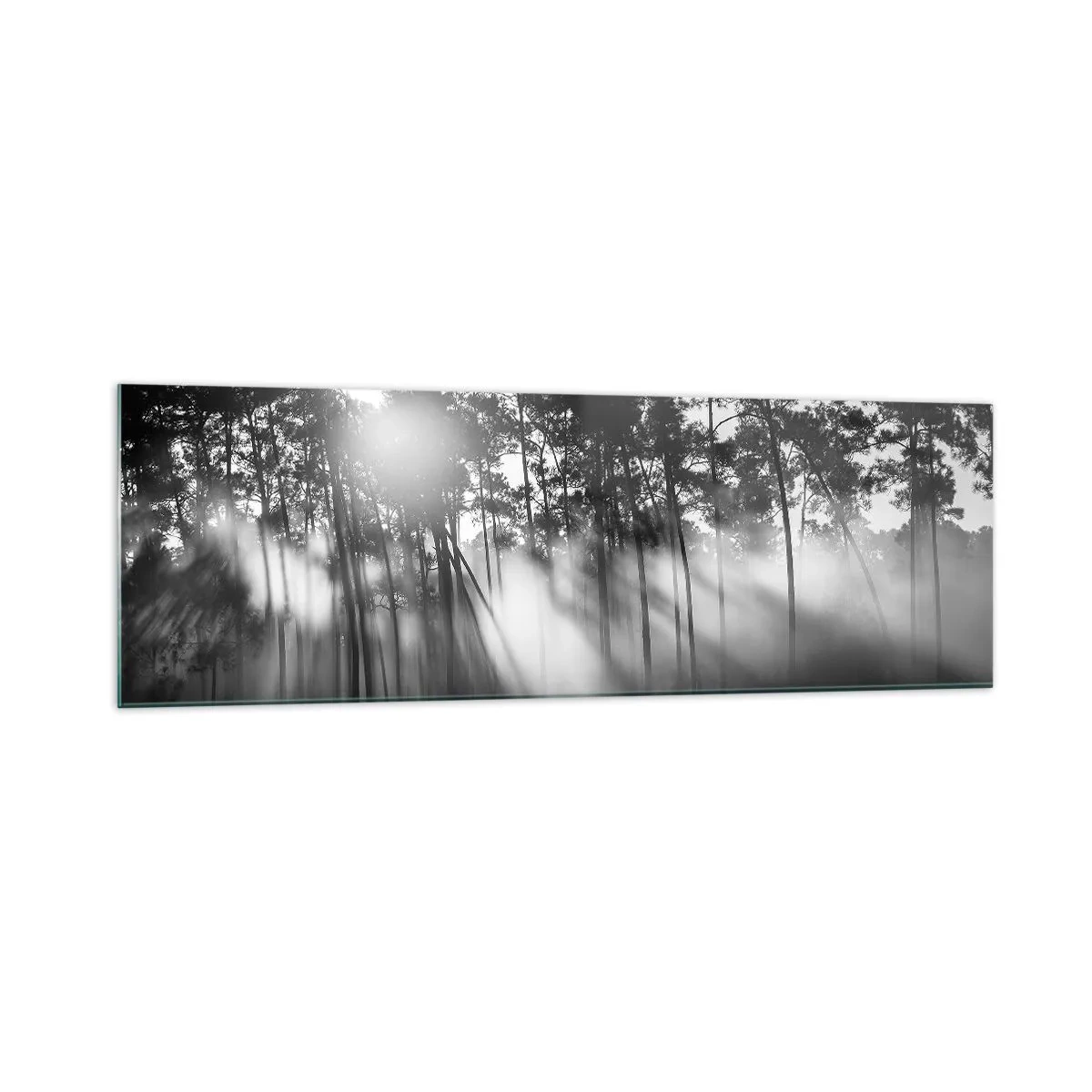 Glasbild - Bild auf glas - Schwarz-weißer Wald im Morgennebel - 160x50cm - Unaufhaltsame Sonne - Moderne Wanddekoration für Wohnzimmer und Schlafzimmer ARTTOR