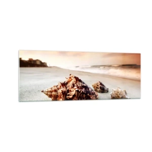 Glasbild - Bild auf glas - Muscheln am Strand bei Sonnenuntergang - 140x50cm - Ausgestoßene von Wellen - Moderne Wanddekoration für Wohnzimmer und Schlafzimmer ARTTOR