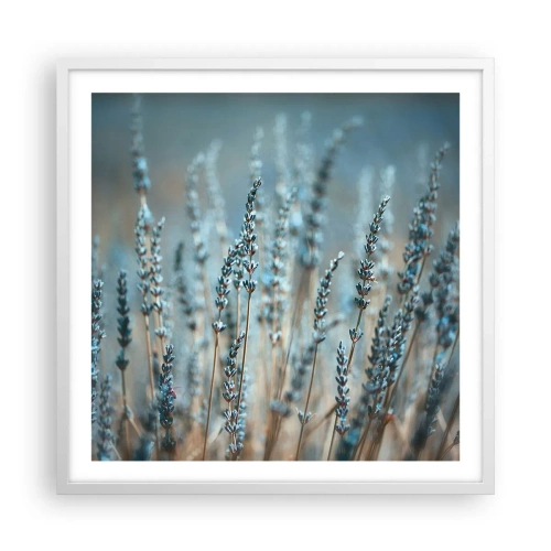 Poster in einem weißen Rahmen - Duftendes Kornfeld - 60x60 cm