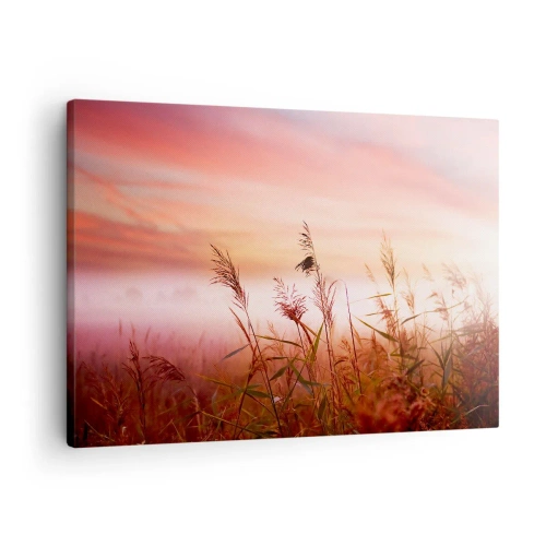 Bild auf Leinwand - Leinwandbild - Ein Grasfeld vor der Kulisse eines malerischen Sonnenuntergangs - 70x50cm - Drachen, Löwenzahn, Wind - Moderne Wanddekoration für Wohnzimmer und Schlafzimmer ARTTOR