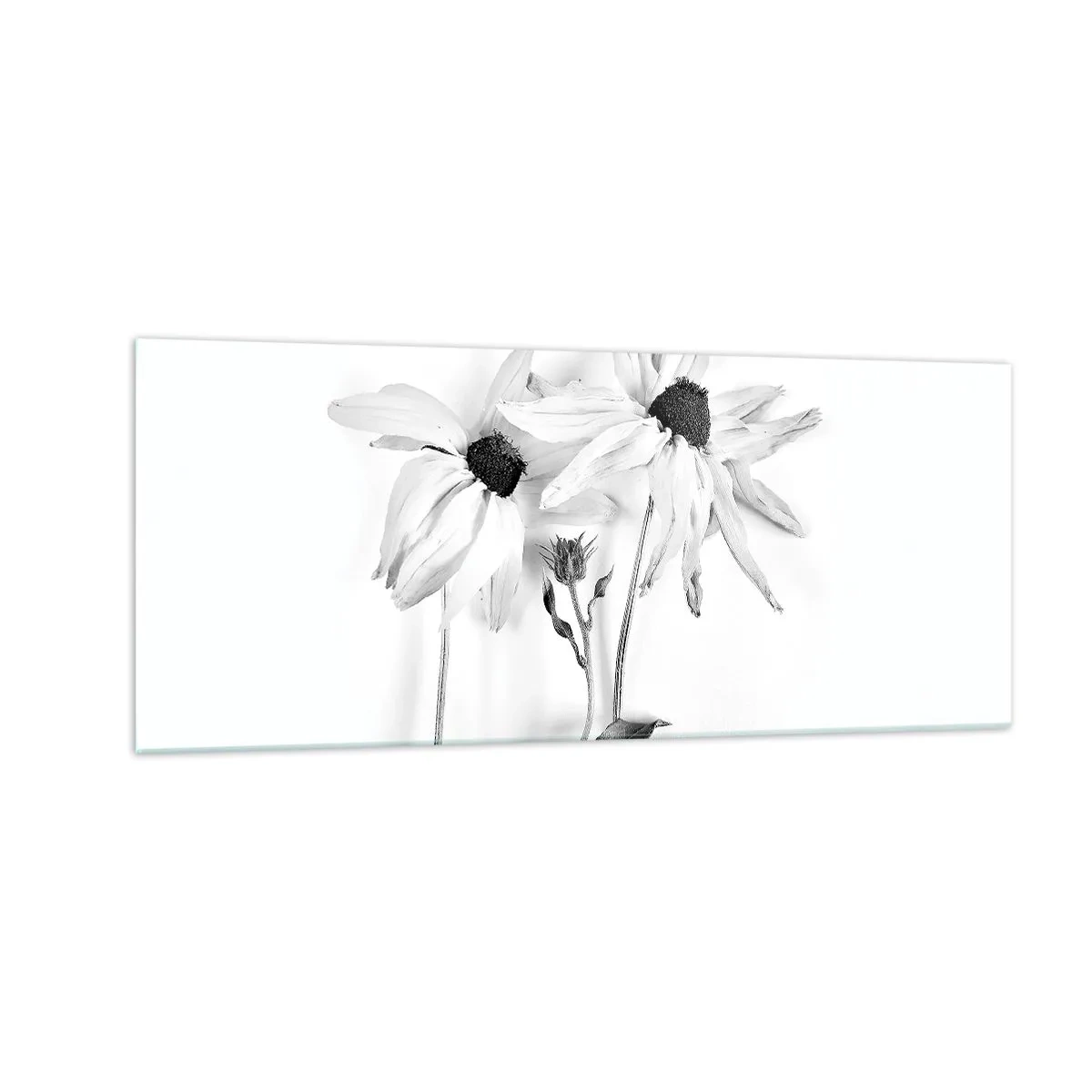 Glasbild - Bild auf glas - Niemand will allein sein - 100x40 cm