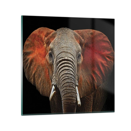 Glasbild - Bild auf glas - Ich bin wild und du? - 30x30 cm