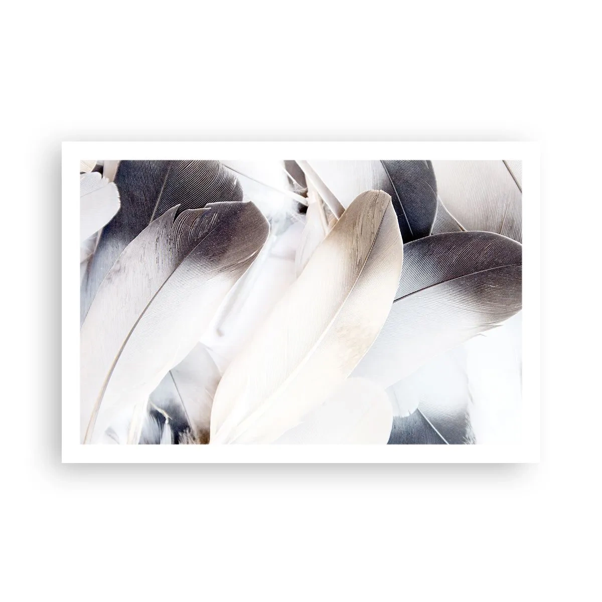 Poster - Fast engelhaft - 91x61 cm