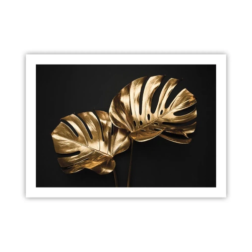 Poster - Die Schätze der Natur - 70x50 cm