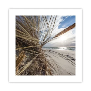 Poster - Ein Treffen der Elemente der Natur - 40x40 cm