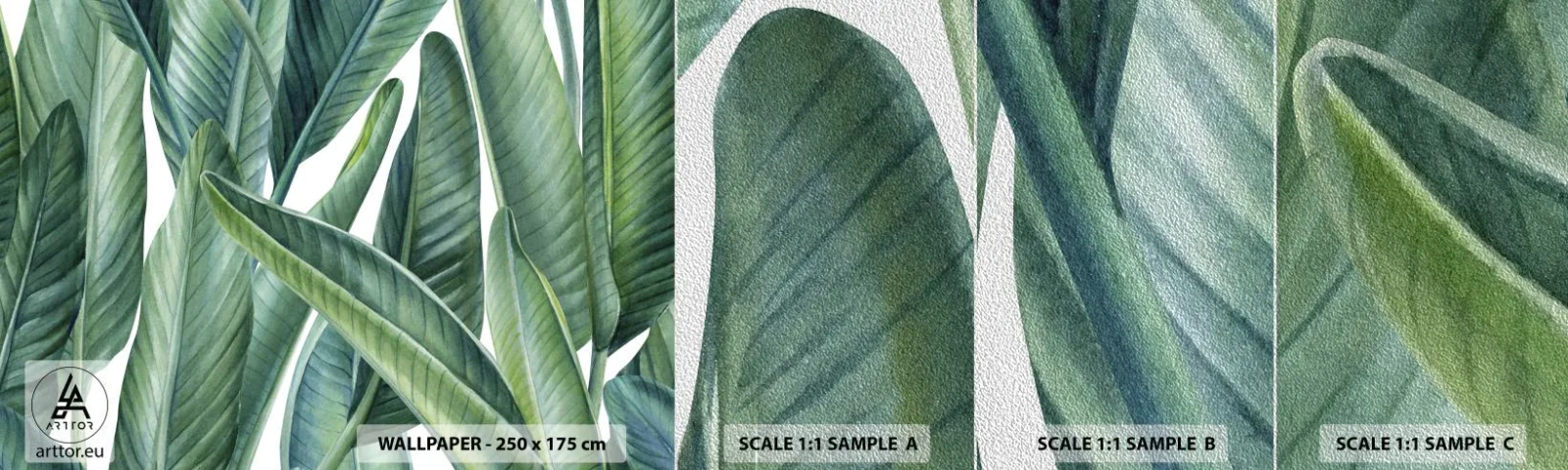 Fototapeten Muster Premium Sand - An und für sich Grün - Grüne Blätter, Tropische Pflanze, Natur - 100x30 cm