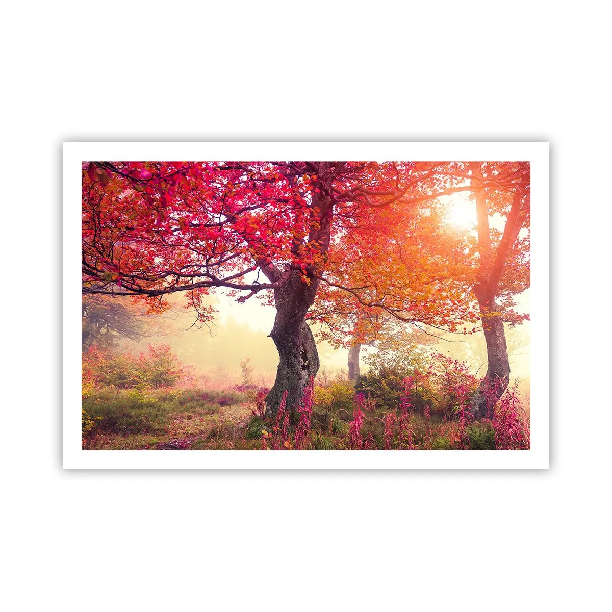 Poster - Blühende Raserei - 91x61 cm