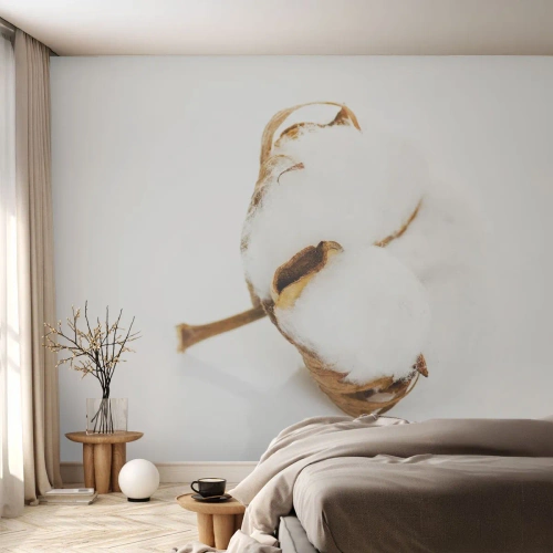 Fototapete Premium Sand - Von Natur aus weich - Baumwolle, Minimalistisch, Blume - 500x350 cm