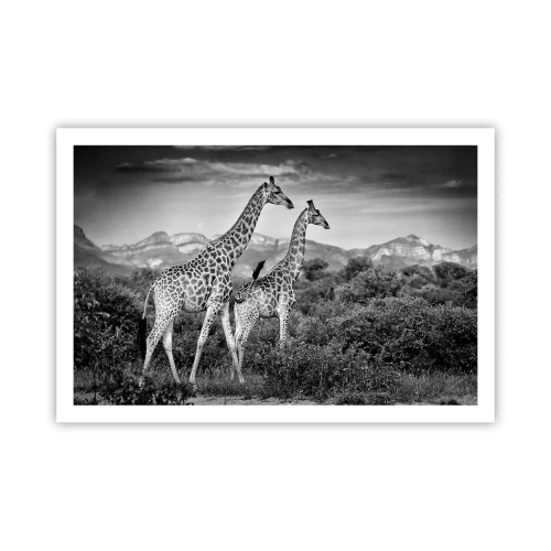 Poster - Hohe Sphären in Afrika - 91x61 cm