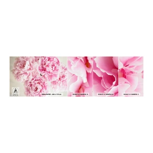 Fototapeten Muster Selbstklebend Deluxe Sticker - In rosa Glamour - Pfingstrosen, Blumenstrauß, Blumen - 100x30 cm