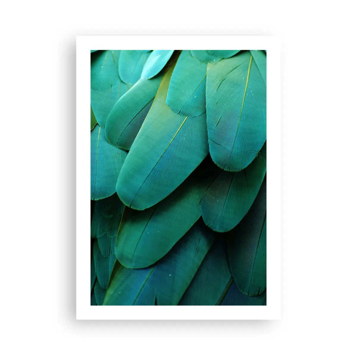 Poster - Nahaufnahme der grünen Federn eines exotischen Vogels - 50x70cm - Papageienartige Präzision - Moderne Wanddekoration für Wohnzimmer und Schlafzimmer ARTTOR