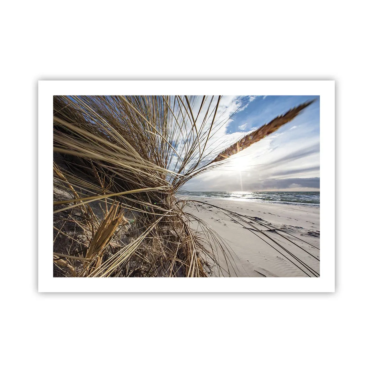 Poster - Ein Treffen der Elemente der Natur - 70x50 cm