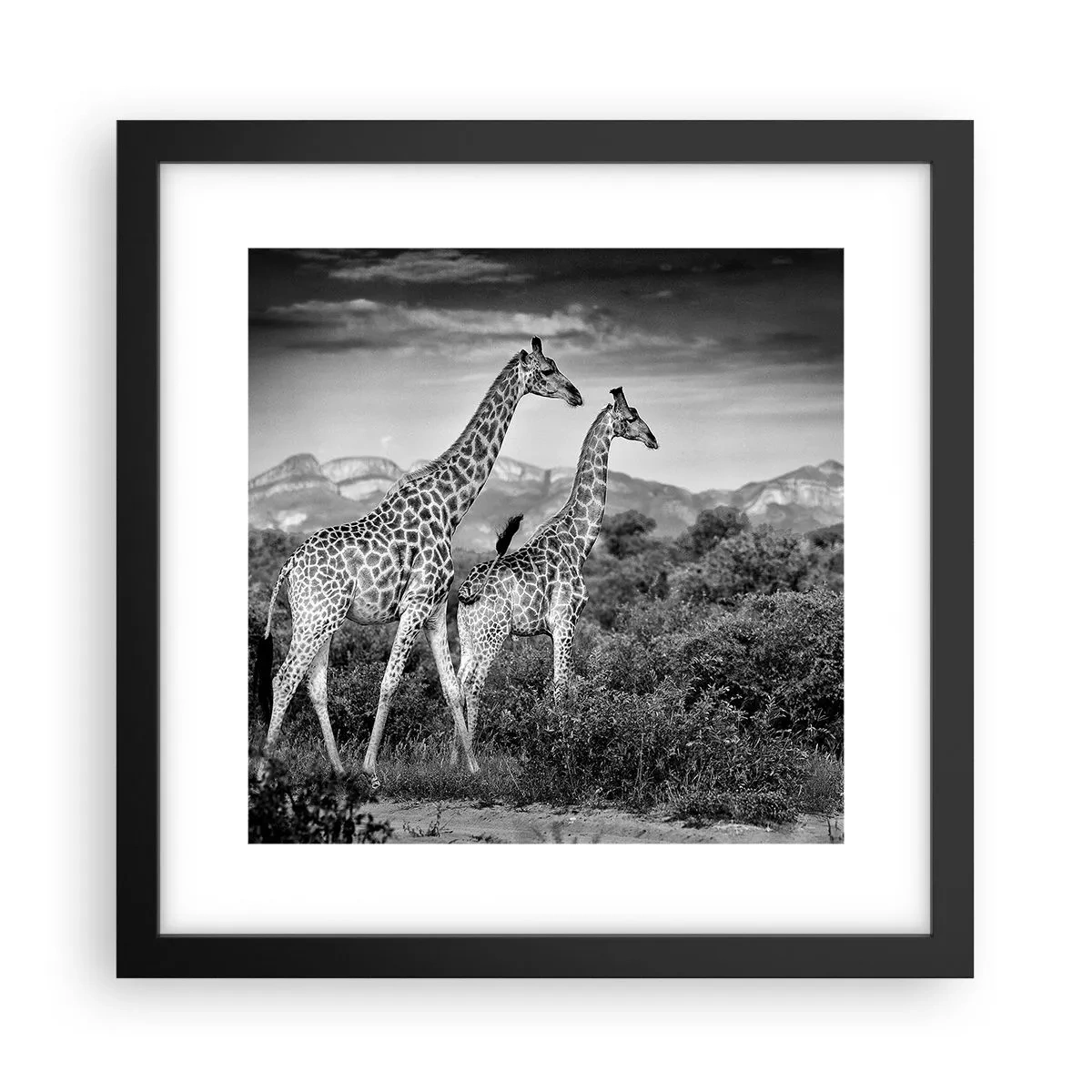 Poster in einem schwarzem Rahmen - Hohe Sphären in Afrika - 30x30 cm