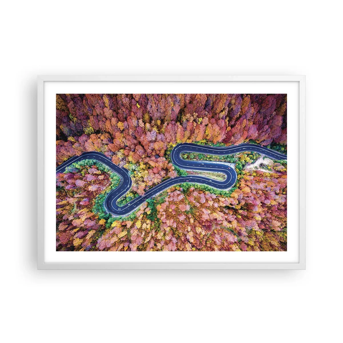 Poster in einem weißen Rahmen - Kurvenreicher Weg durch den Wald - 70x50 cm