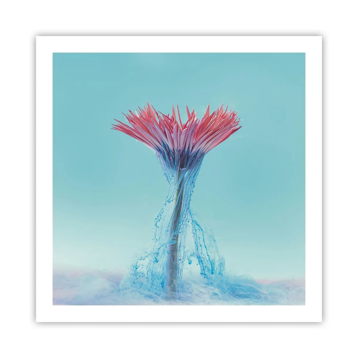 Poster - In einer belebenden Umarmung - 60x60 cm