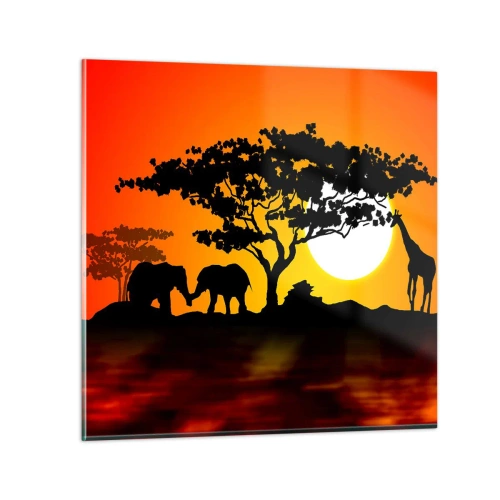 Glasbild - Bild auf glas - Treffen in der Savanne - 50x50 cm