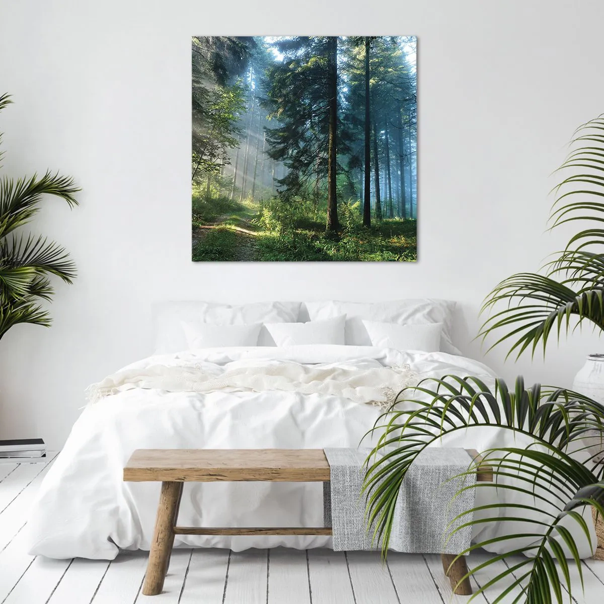 Bild auf Leinwand - Leinwandbild - Strahlend am Morgen - 70x70 cm