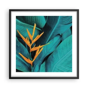 Poster in einem schwarzem Rahmen - Eden-Blume - 50x50 cm