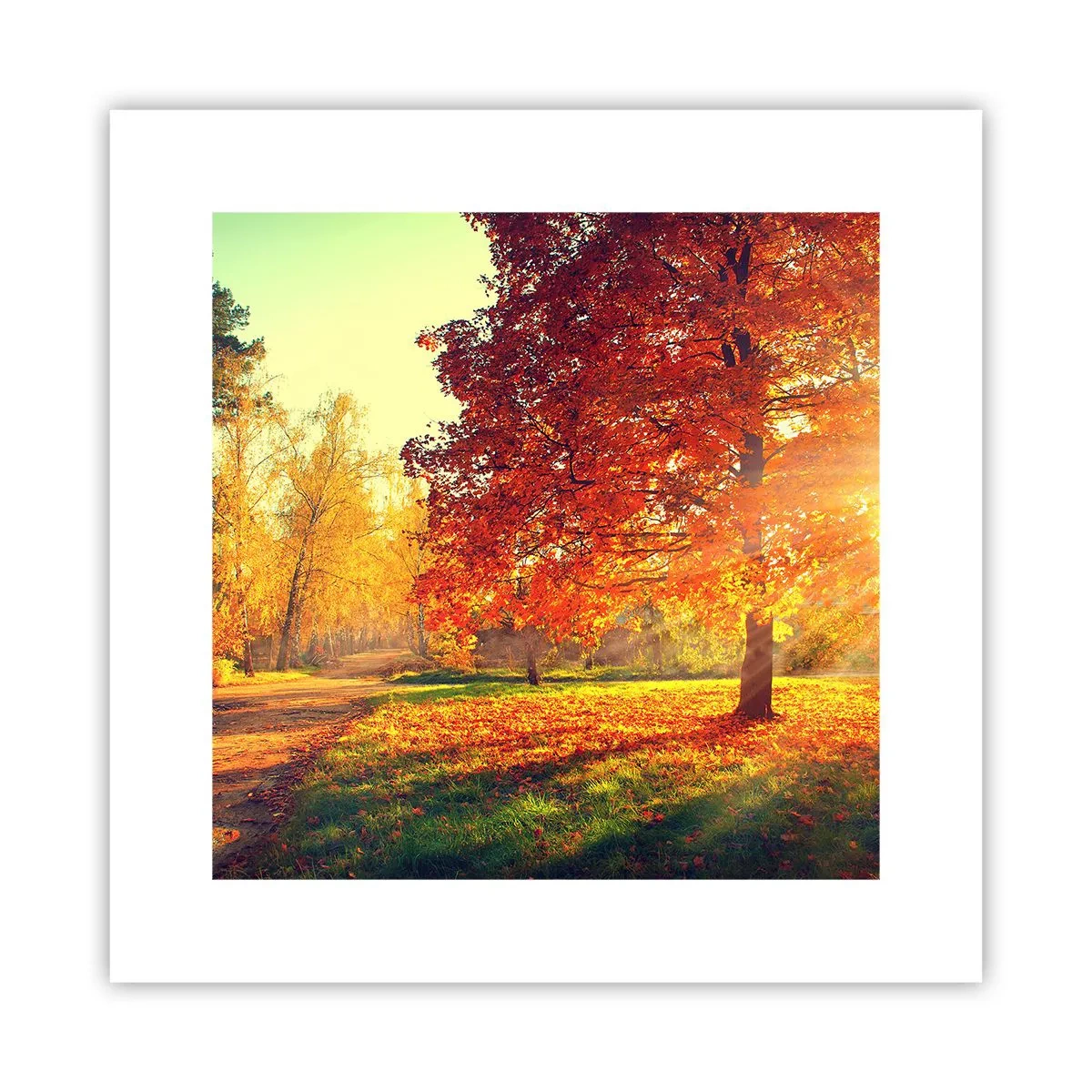 Poster - Unhöflich ist schön - 30x30 cm