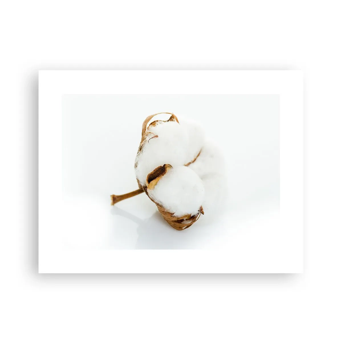 Poster - Von Natur aus weich - 40x30 cm