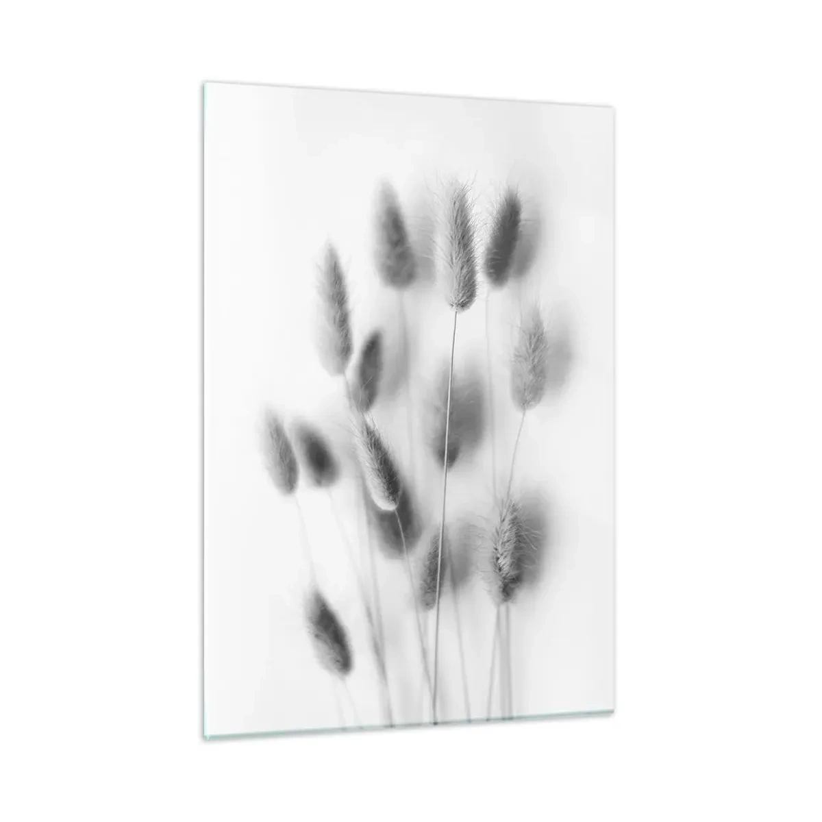 Glasbild - Bild auf glas - Schwarz-weiße Grasähren auf hellem Hintergrund im minimalistischen Stil - 50x70cm - Eure flauschige Grashoheit - Moderne Wanddekoration für Wohnzimmer und Schlafzimmer ARTTOR