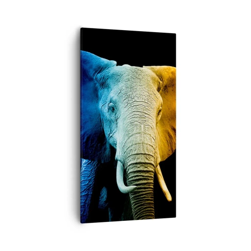 Bild auf Leinwand - Leinwandbild - Exzentrisch, kein Verrückter - 55x100 cm