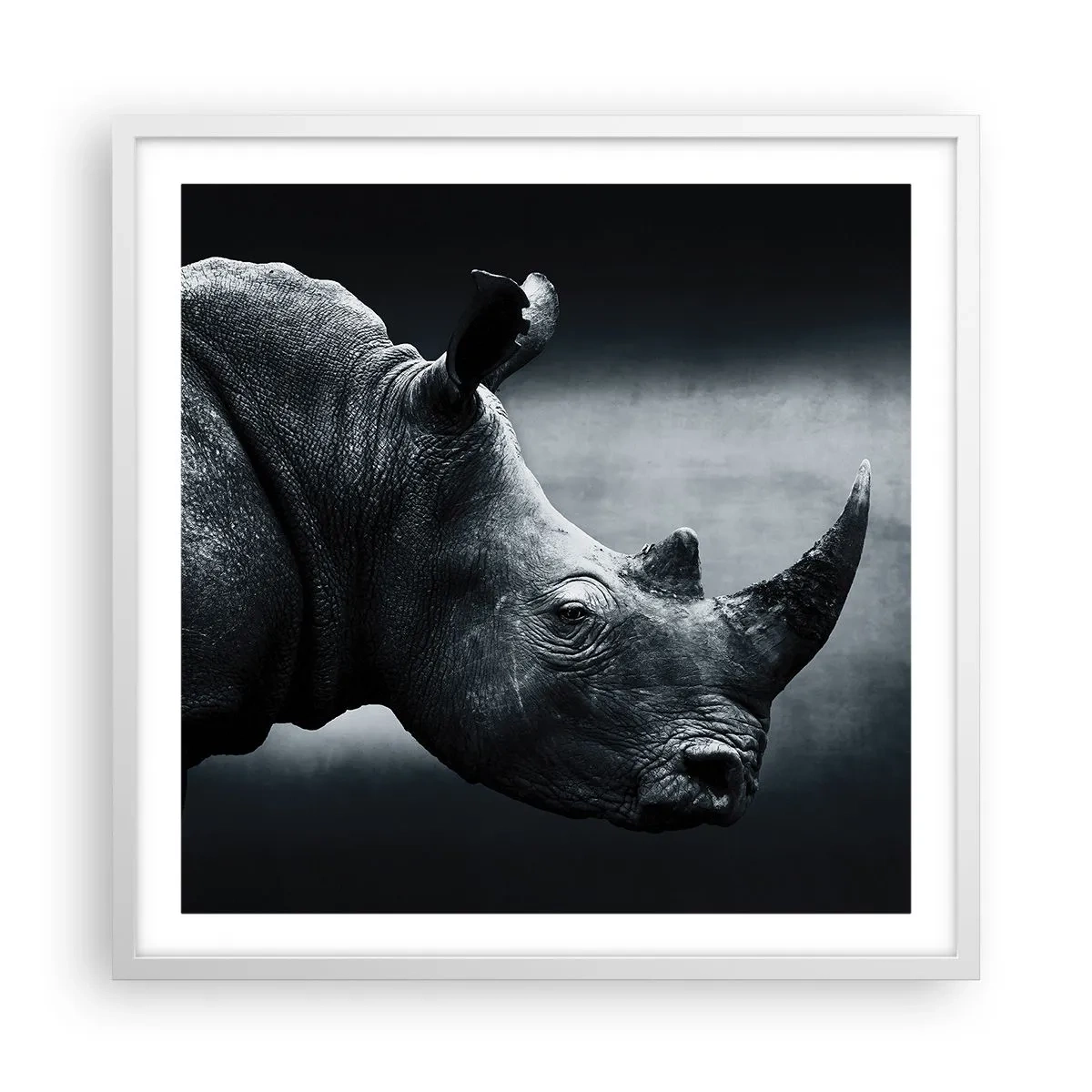 Poster in einem weißen Rahmen - Richtiges Profil - 60x60 cm