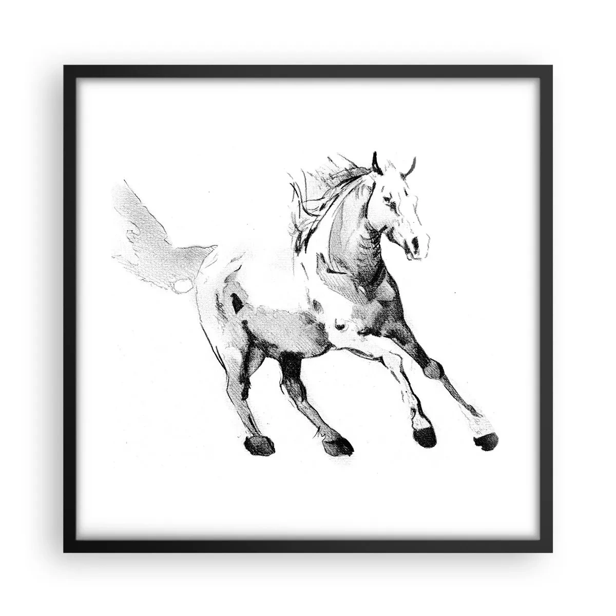 Poster in einem schwarzem Rahmen - Ungezähmte Seele - 50x50 cm