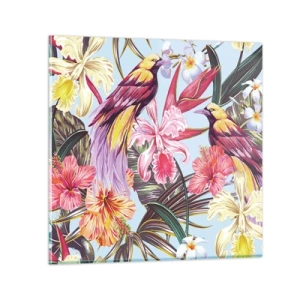 Glasbild - Bild auf glas - Blütenblätter und Federn - 60x60 cm