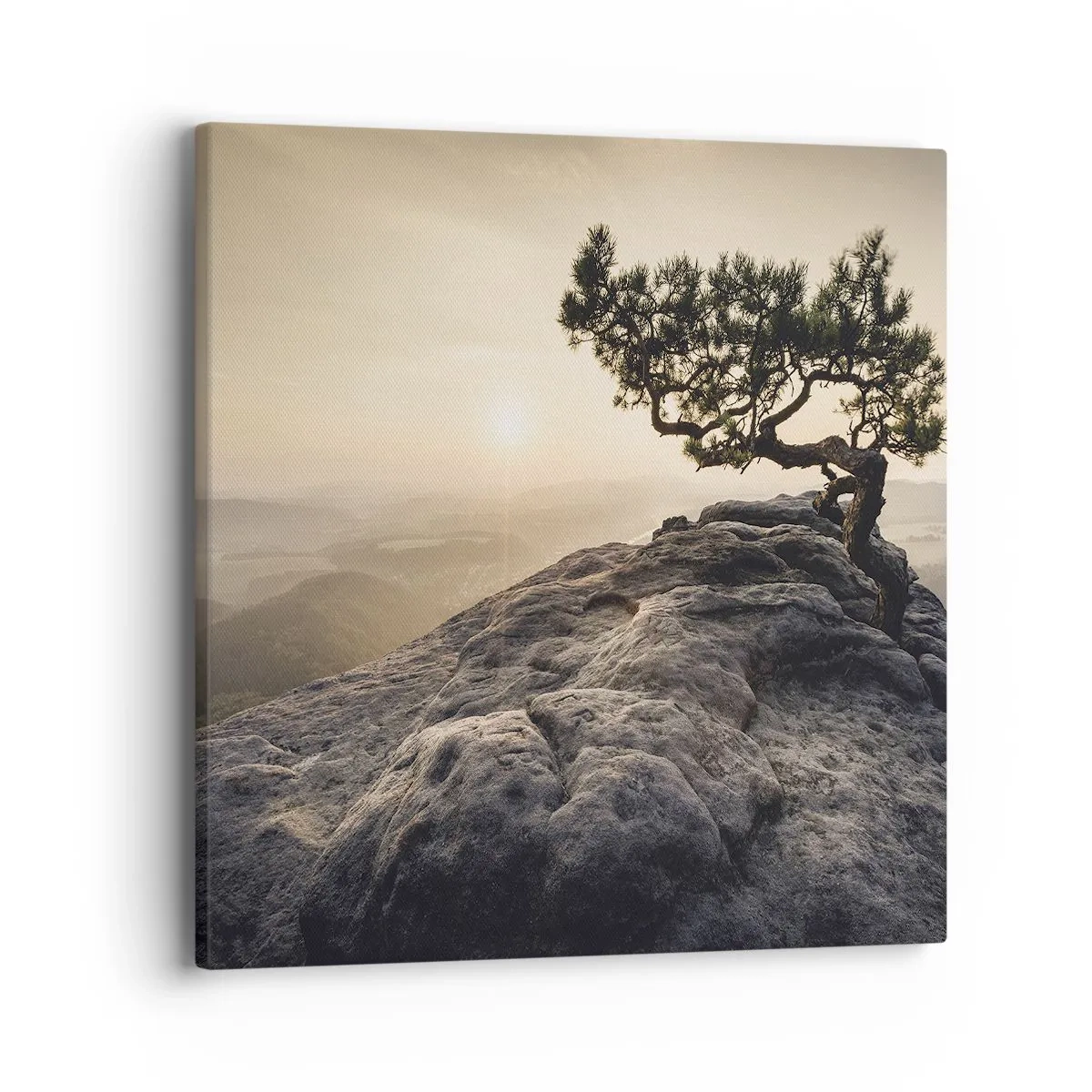 Bild auf Leinwand - Leinwandbild - Das Leben gewinnt immer - 40x40 cm