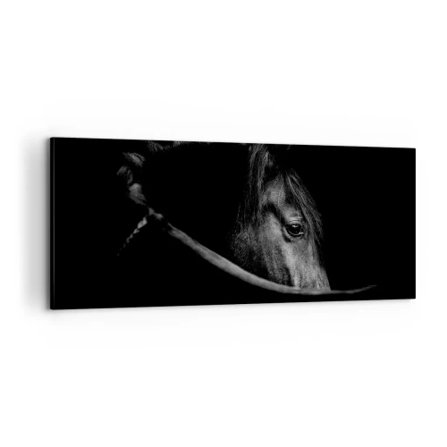 Bild auf Leinwand - Leinwandbild - Schwarzer Prinz - 100x40 cm